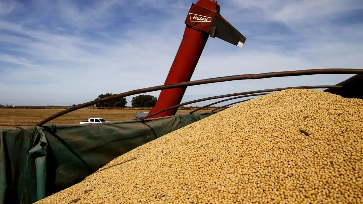 Maíz: exportaciones alcanzaron récord de 40,9 millones de toneladas