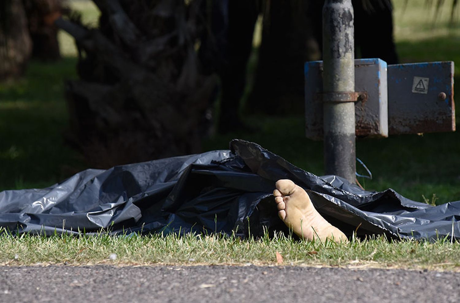 Encontraron joven muerto en Parque Independencia