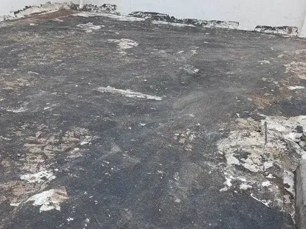 Avanza  la campaña para recuperar el 
techo y el cielo raso de la Iglesia Catedral