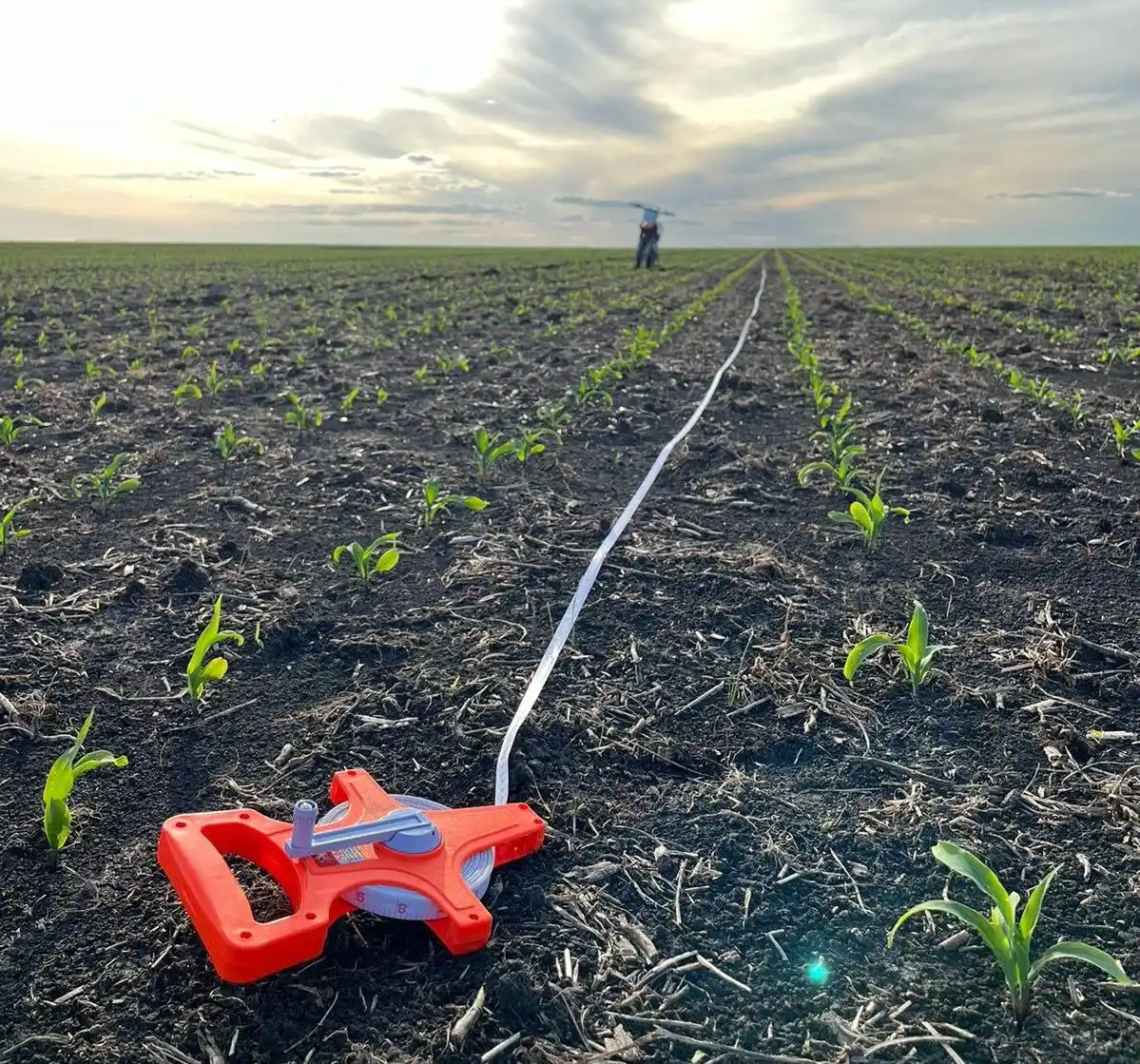 La Bolsa de Cereales manifestó su preocupación por la falta de lluvias en la provincia