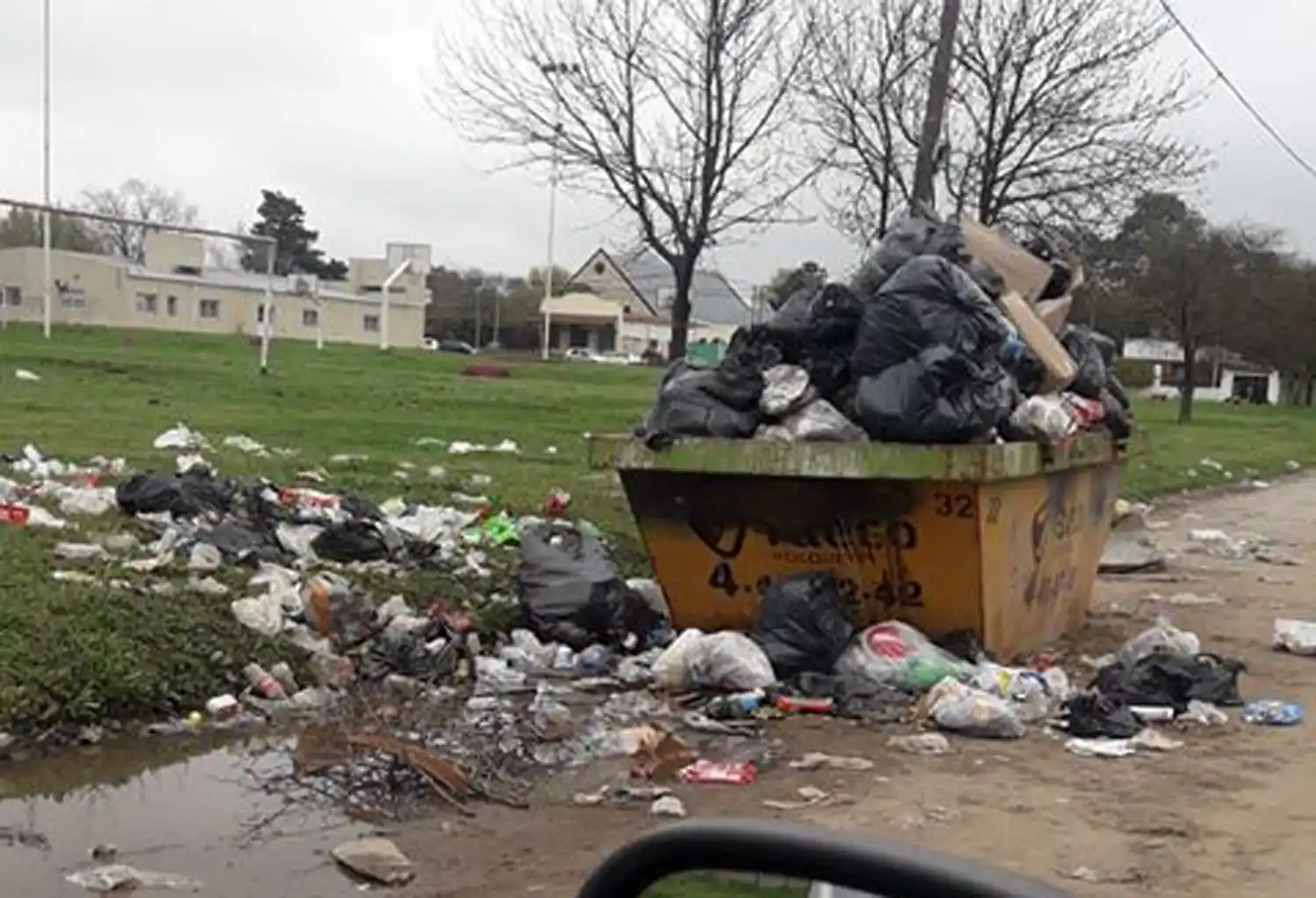 Contribuir en casa al cuidado del medioambiente