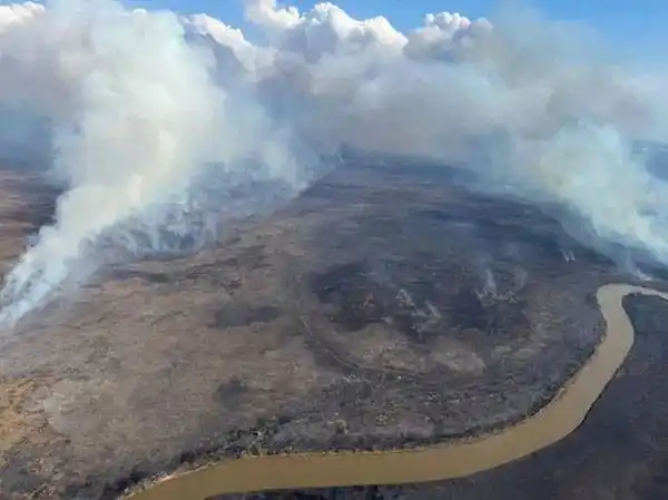 Incendios en islas: tres santafesinos detenidos
