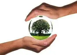 Proyectos de inversión sustentables