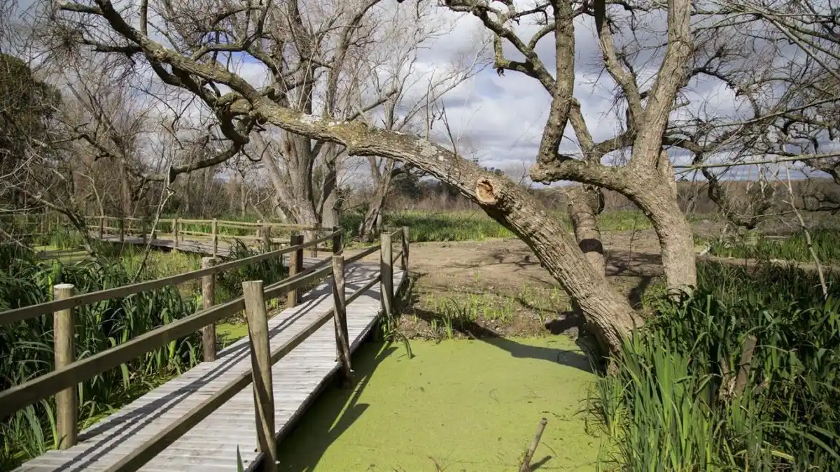 Villa Domínico: Crearán un parque público sobre millones de toneladas de basura