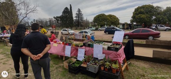 Feria de emprendedores en la Buena Moza