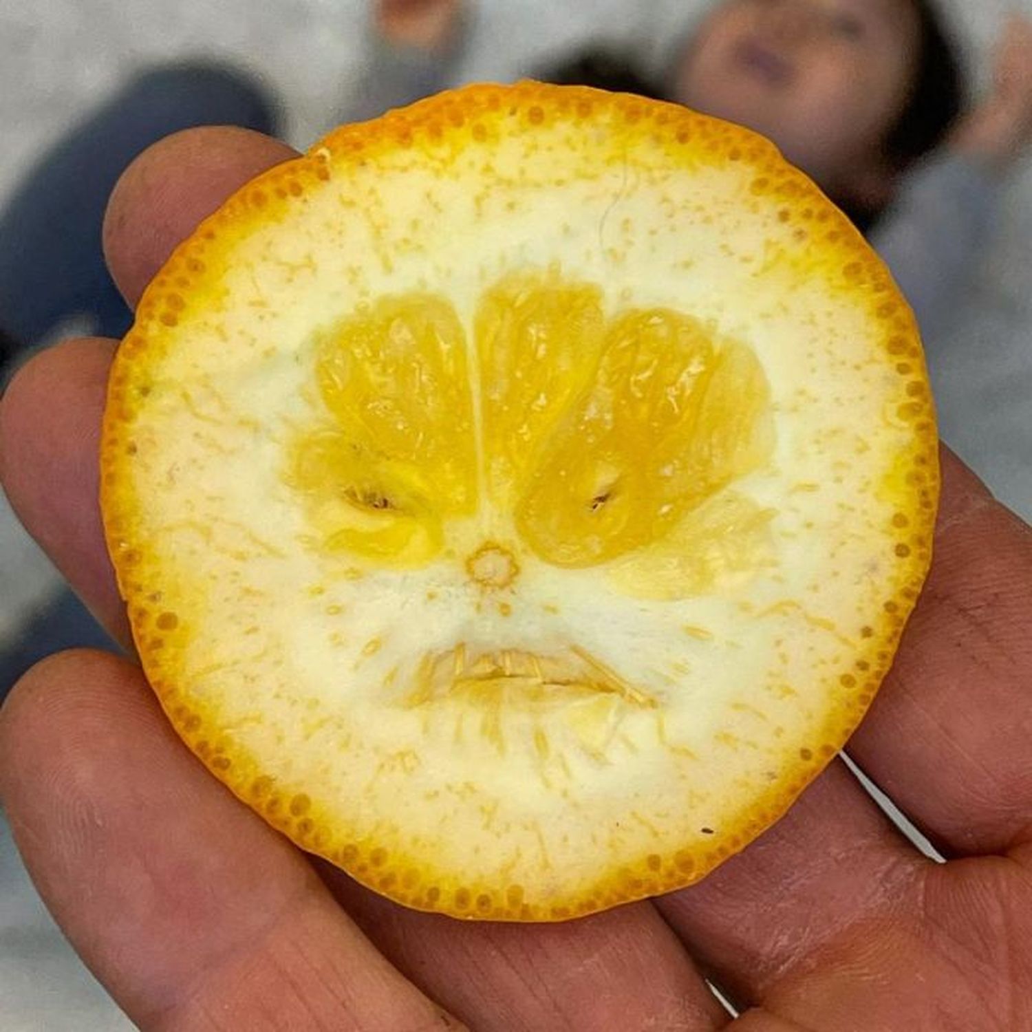 Arte en la comida