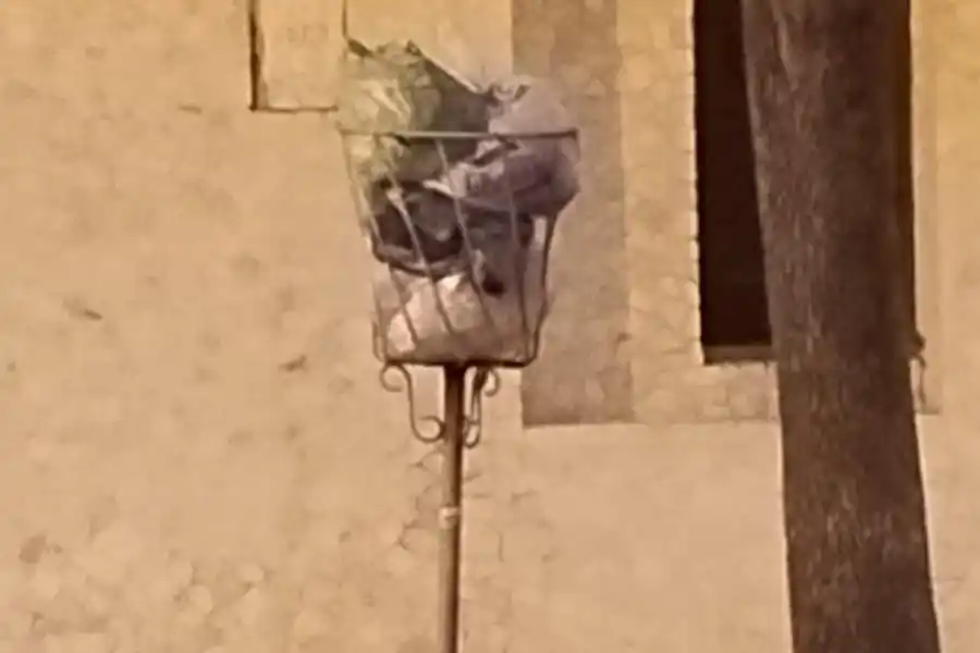 Concejales solicitan modificar los días de recolección de residuos en Año Nuevo