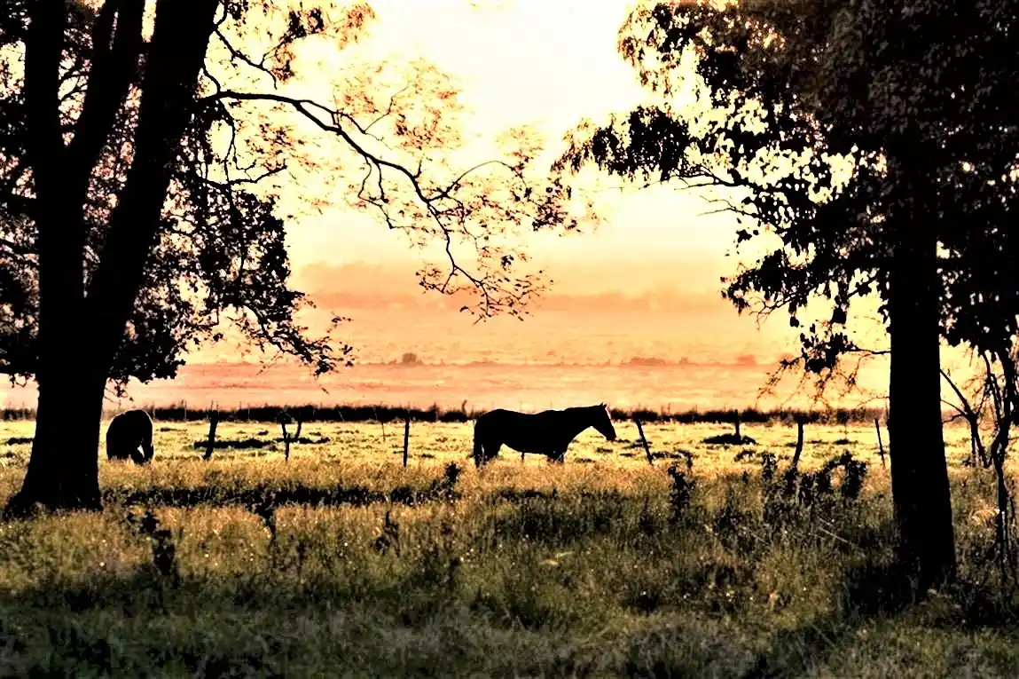 “San Ambrosio”, la mítica estancia que sigue ofreciendo sus instalaciones para eventos