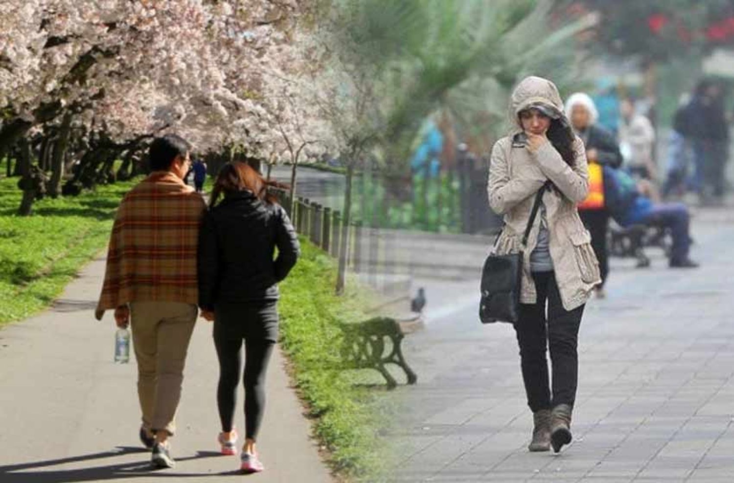 ¿Frío o primavera?: los vaticinios del Servicio Meteorológico para el fin de semana