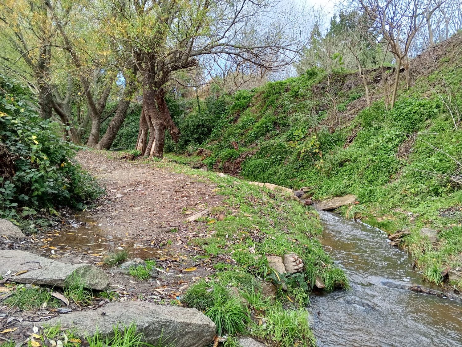 cascada secreta - 4