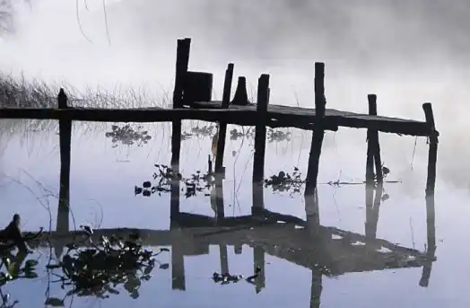 Lo estrangularon, masacraron y tiraron al Delta de Paraná 