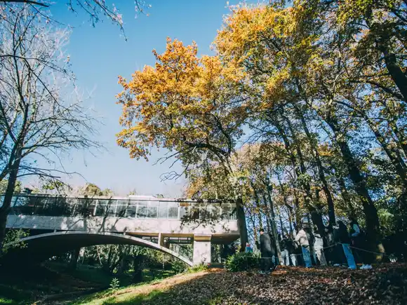 Visitas guiadas gratuitas a la Casa sobre el Arroyo, una propuesta cultural y arquitectónica