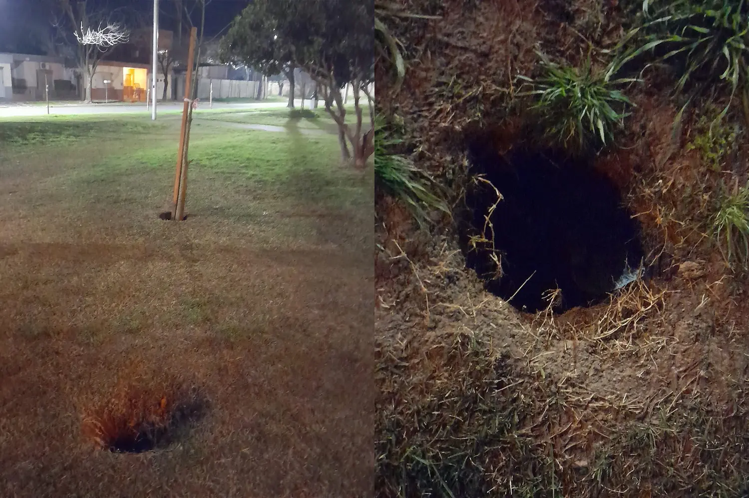¿Les faltará algo de sombra? Se robaron los árboles recién plantados de una plaza de la ciudad