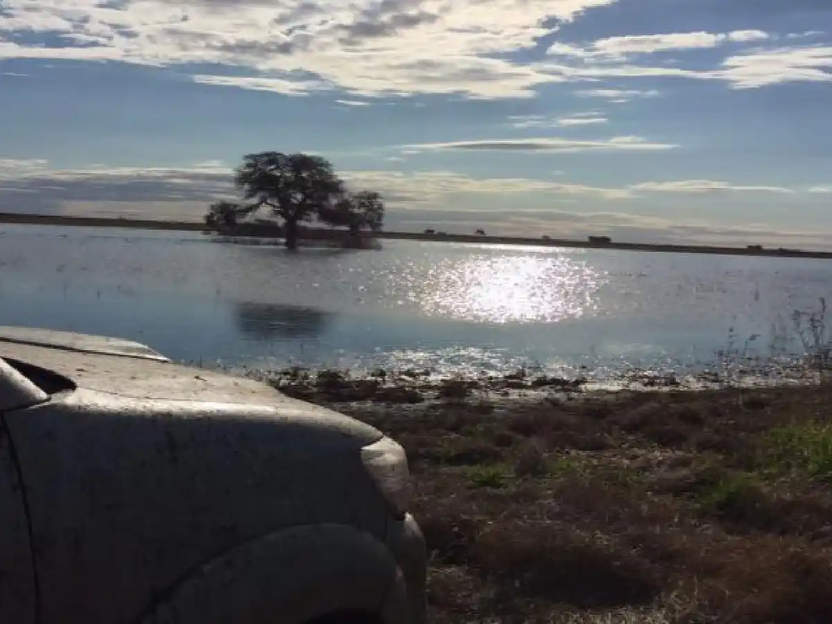 El Gobierno declara la emergencia agropecuaria para Córdoba