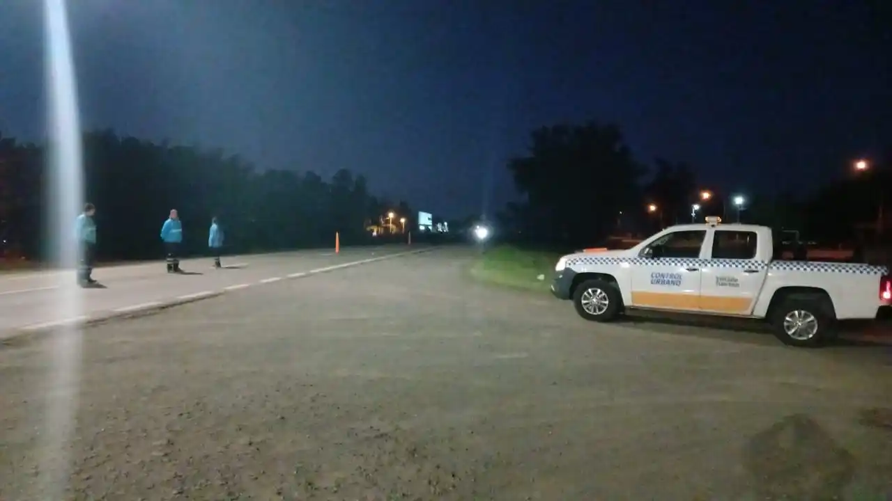 Control vehicular Venado