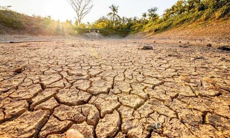 La Argentina como parte de la solución con miras al 2050