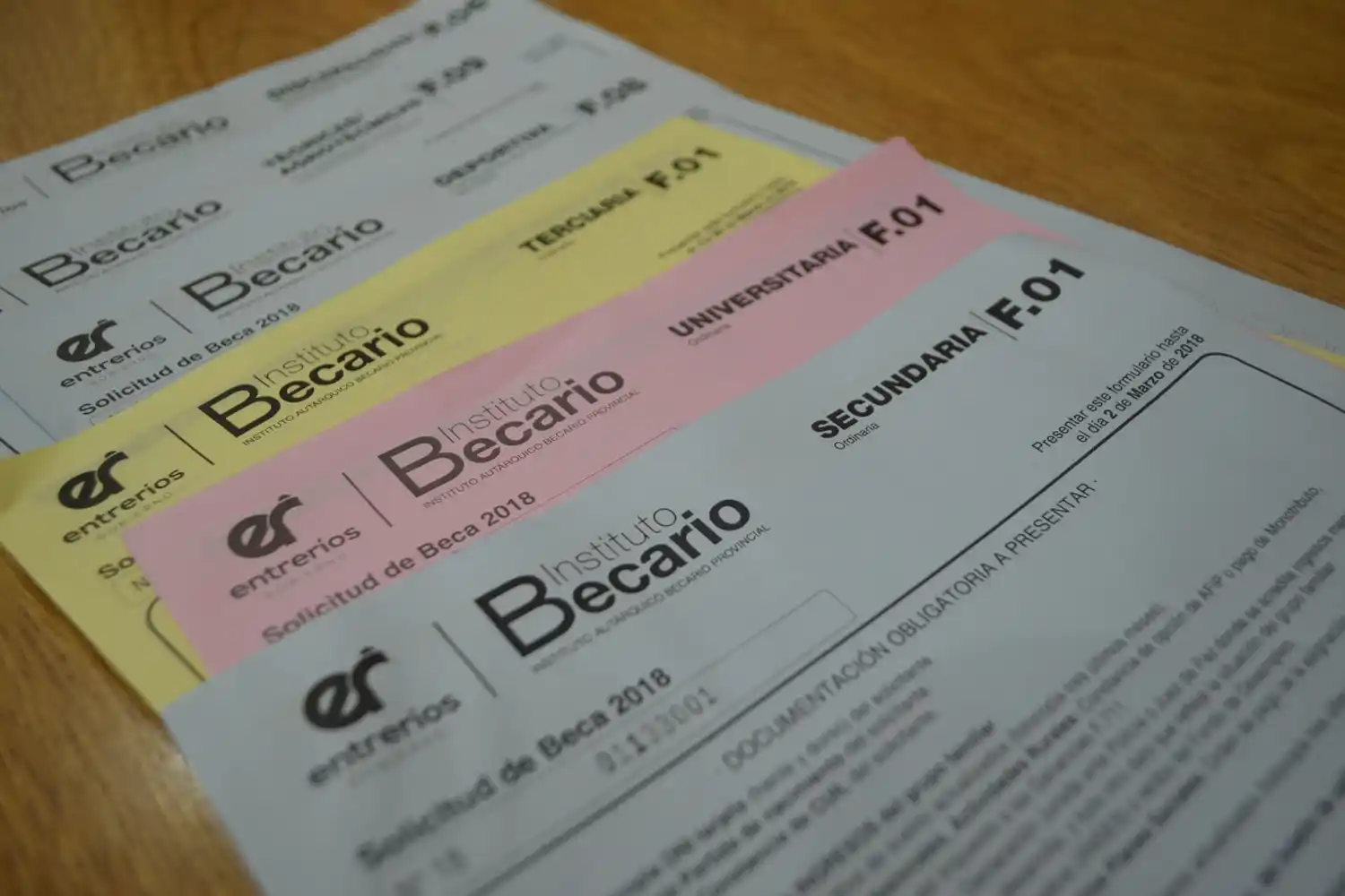 Inicia la distribución de solicitudes de beca 2018