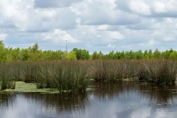 Se trabaja en un proyecto de ordenanza para adherir a la Ley Yolanda
