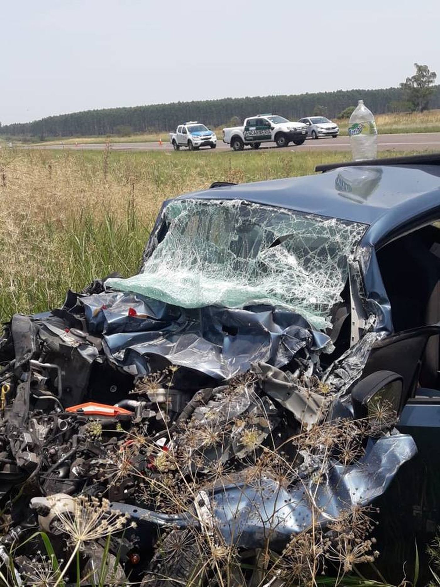 Una mujer se  durmió al volante  y chocó a un camión