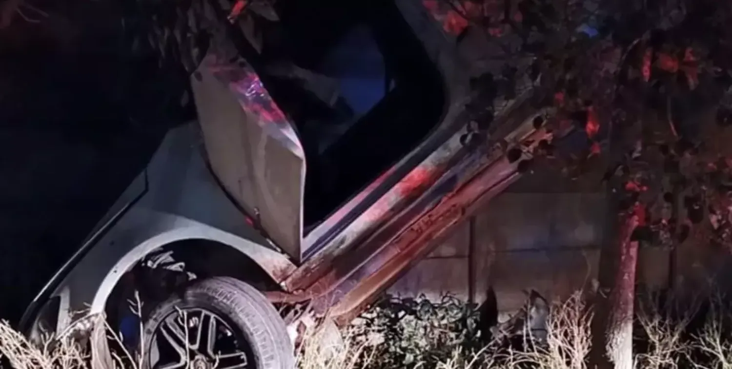 Manejaba borracho, tumbó un cartel y el auto quedó colgado de un árbol 