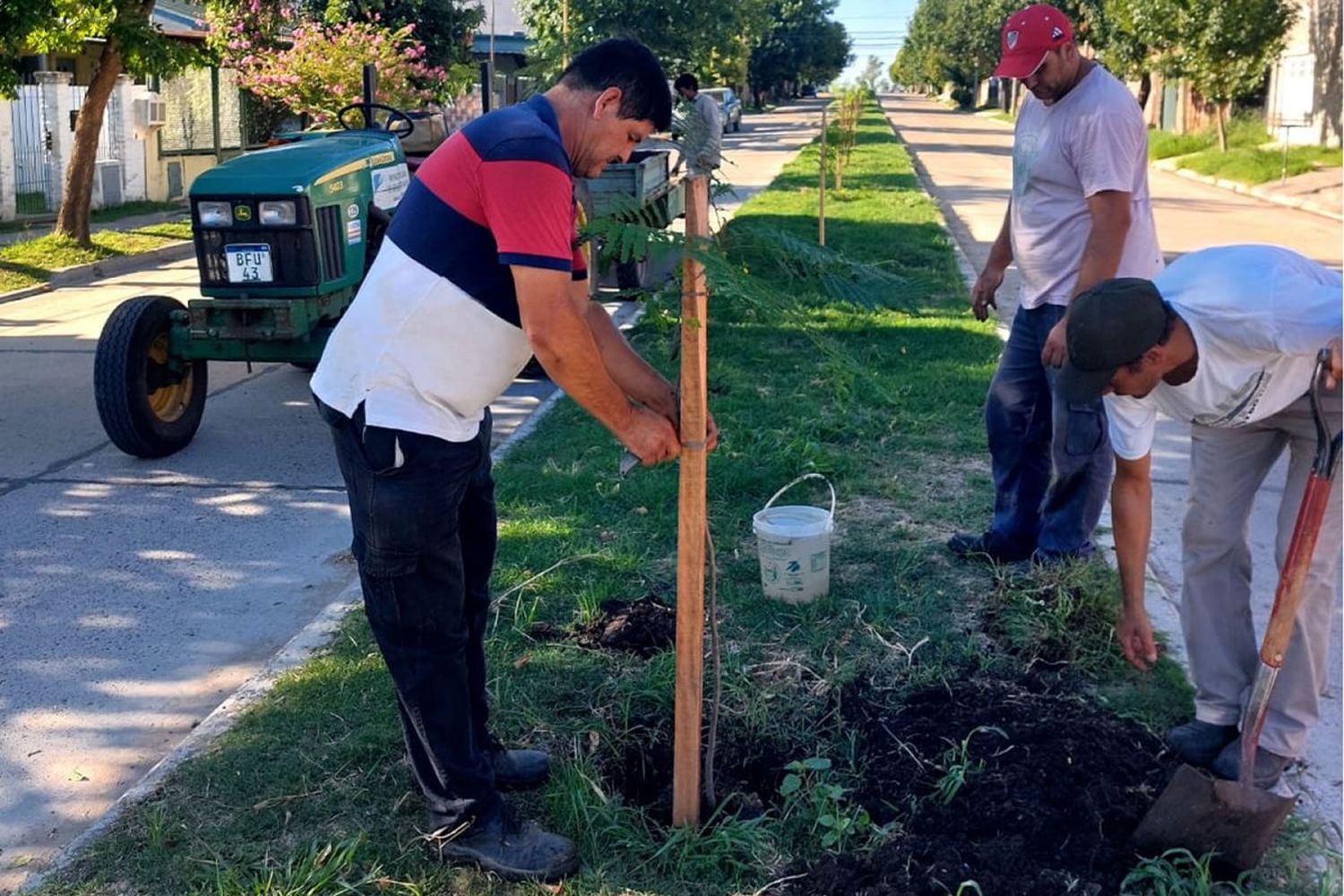 Gualeguaychú verde: plantaron más de 40 árboles nativos en un barrio