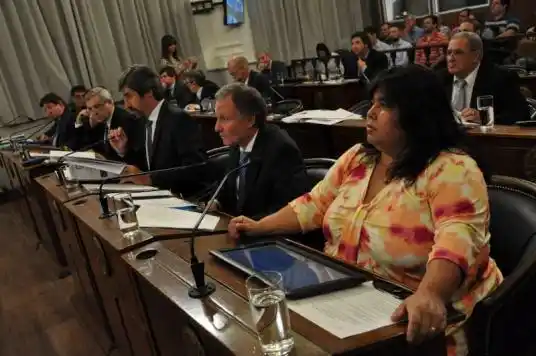El Senado provincial dio media sanción a la adhesión a la Ley Micaela
