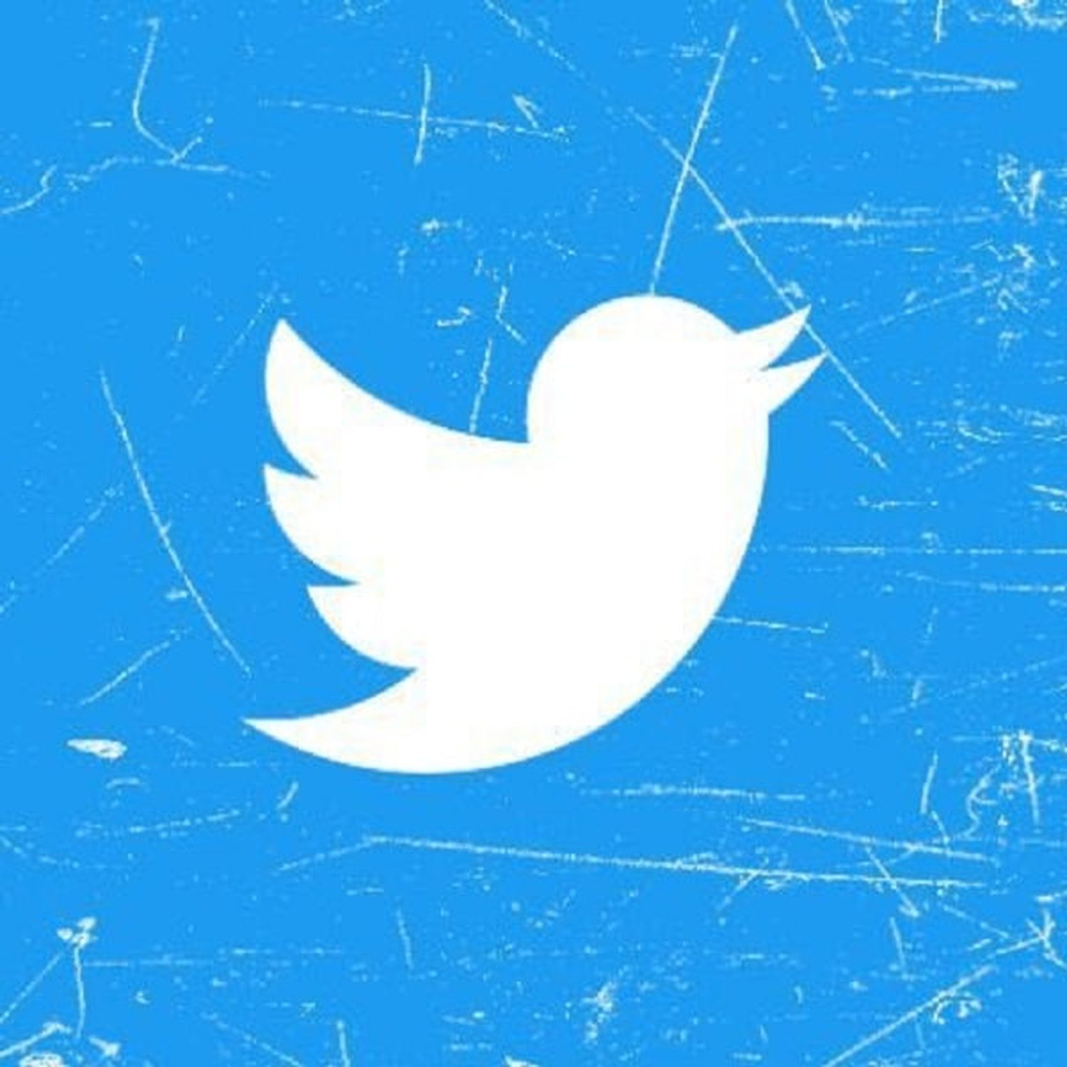 Twitter anunció una nueva actualización que emocionó a los usuarios