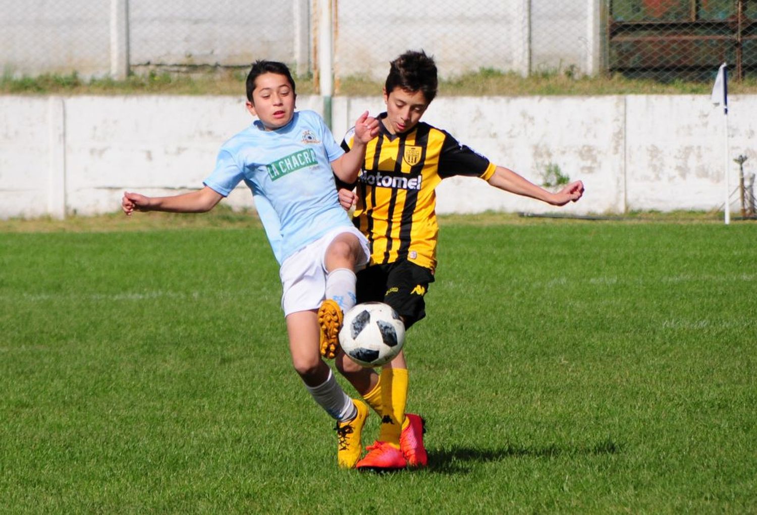 Mañana, inicio de las Copas de Oro y Plata