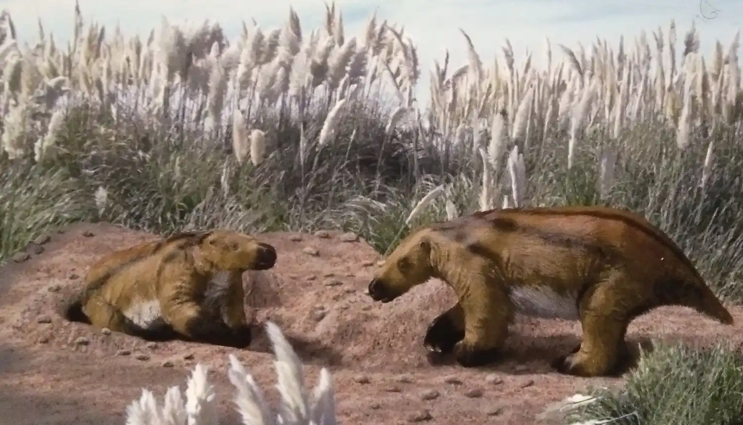 Un niño de 8 años encontró fósiles de un perezoso gigante de la edad de hielo en Miramar