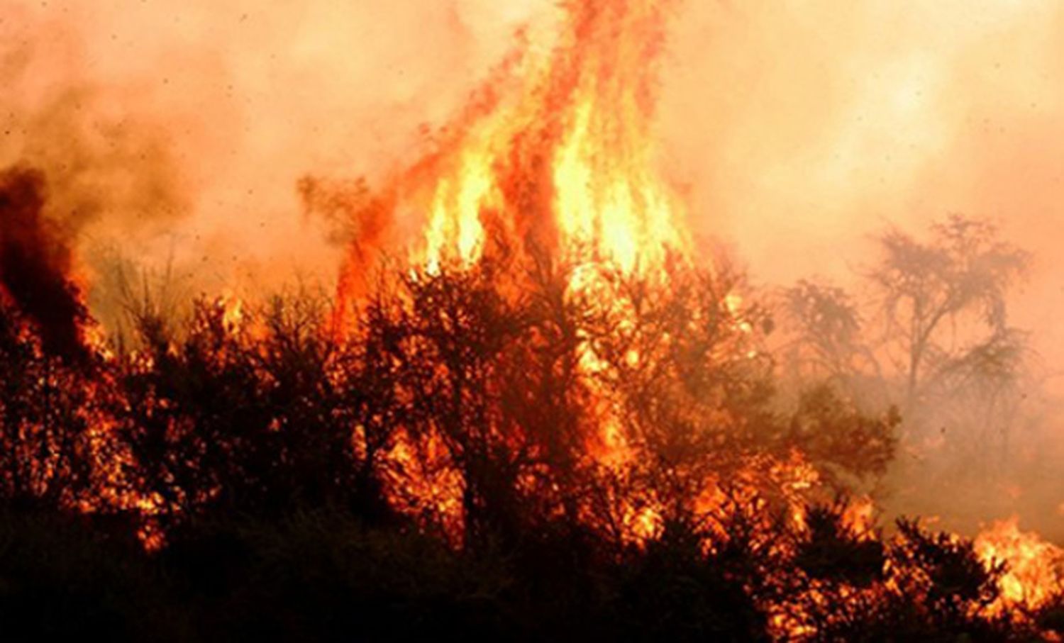 Diez intensos focos de incendio azotan a La Pampa