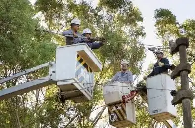 La Plata: Tras el temporal, restablecen poco a poco el servicio eléctrico
