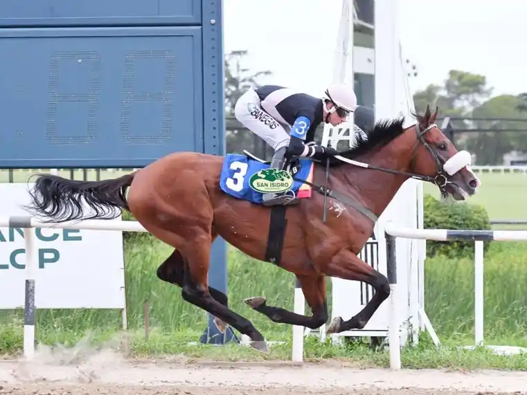 Look Portal tratará de retomar la buena
senda en el Clásico General Belgrano (G2), en Palermo