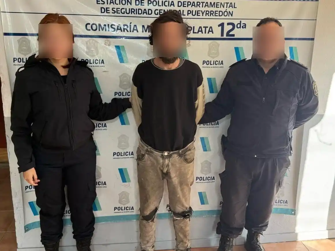 Cayó un hombre por reiterados robos a un depósito en la zona oeste de Mar del Plata