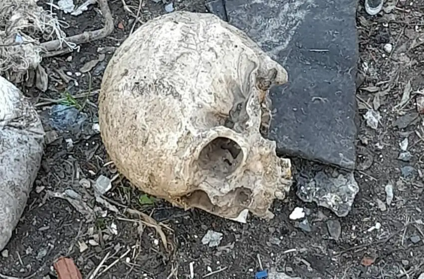 Hallan un cráneo humano en un basural de Mar del Plata