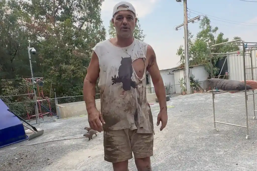 Frank Cuesta luego del ataque