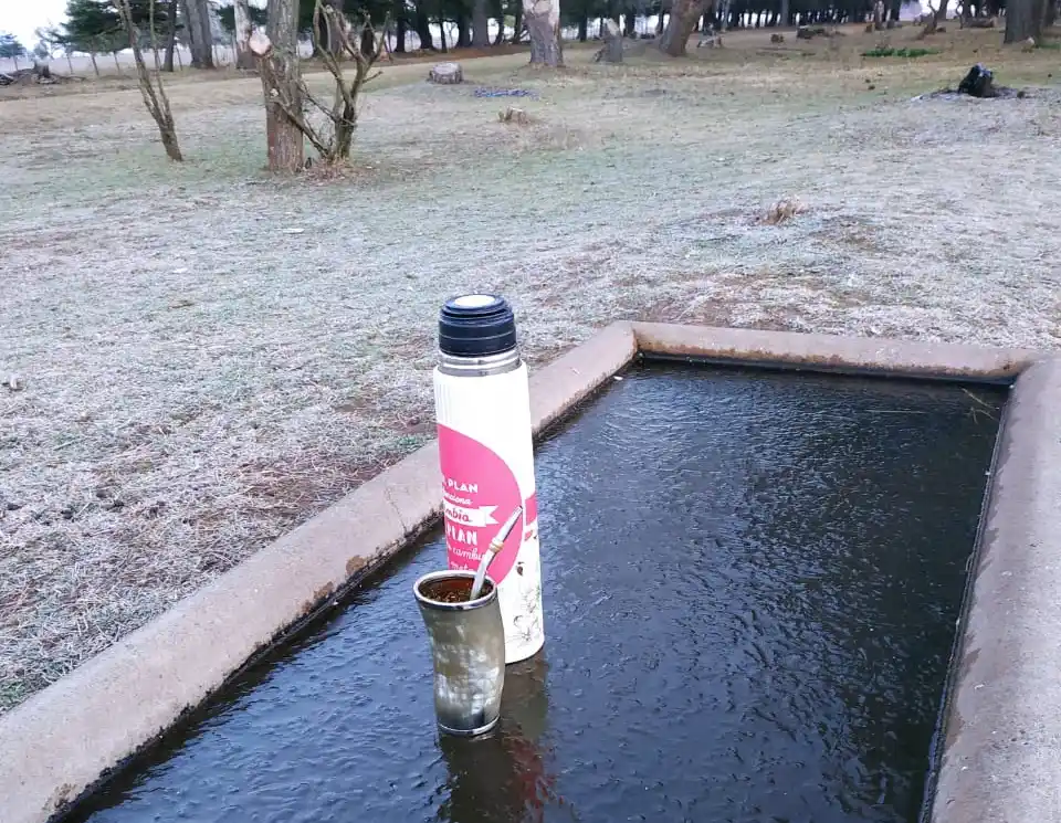 Un bebedero de caballos congelado, improvisada mesa de mate en un campo tandilense