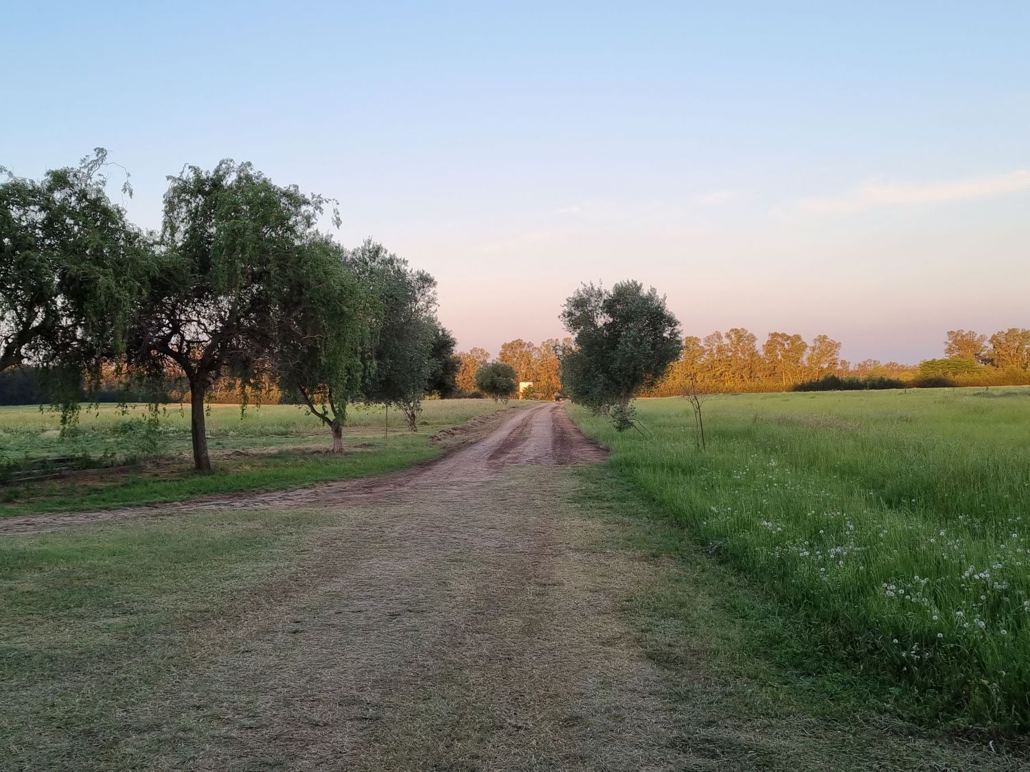 Declararán zona industrial al predio recuperado del narcotráfico en ruta 1001