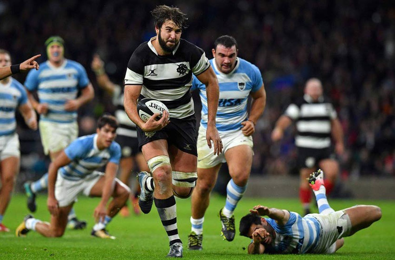 Los Pumas cerraron el año con una nueva caída