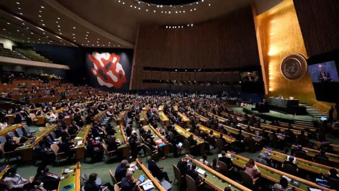 Asamblea General de la ONU