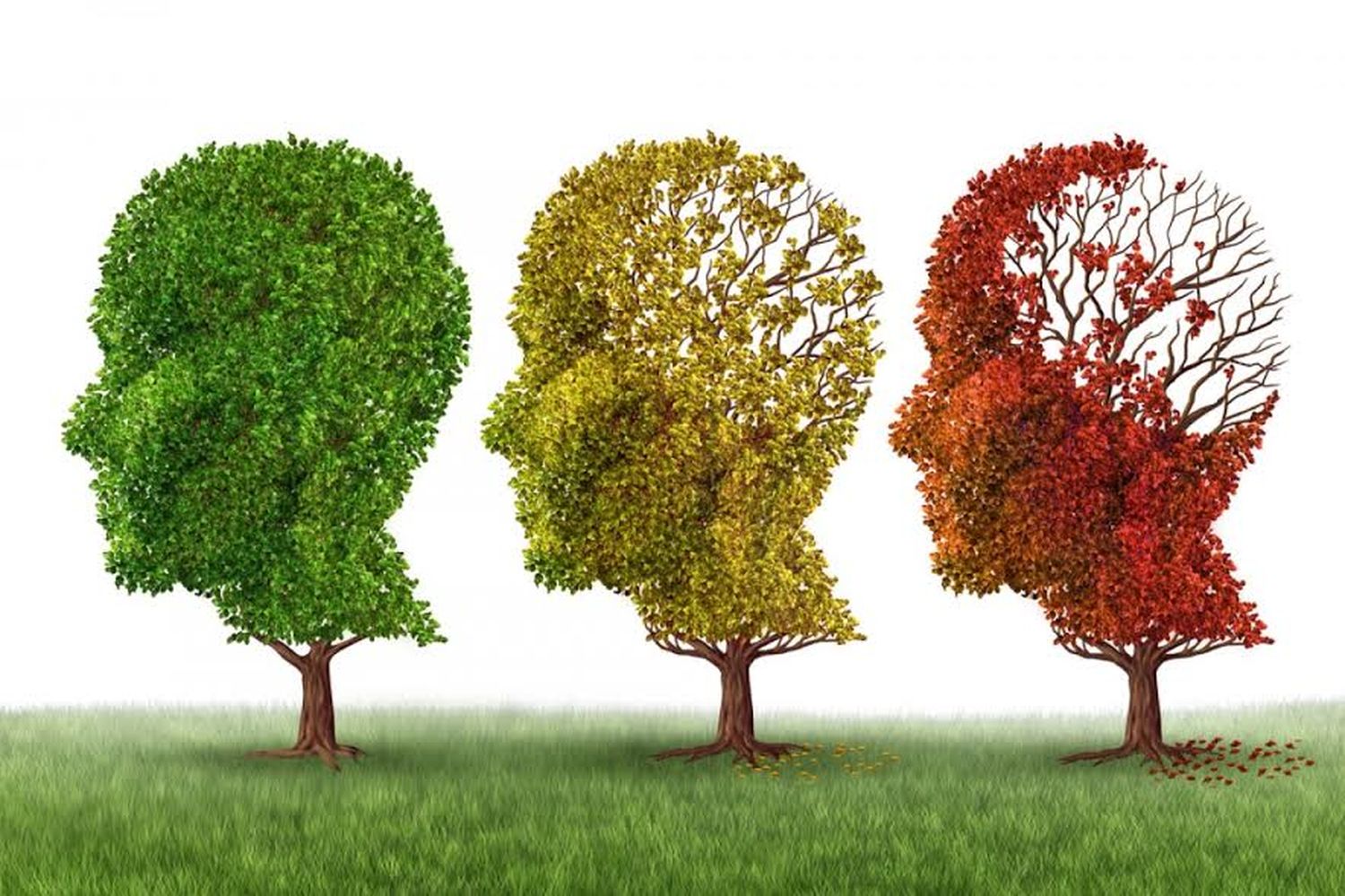 Charla gratuita sobre "cómo cuidar tu cerebro"
