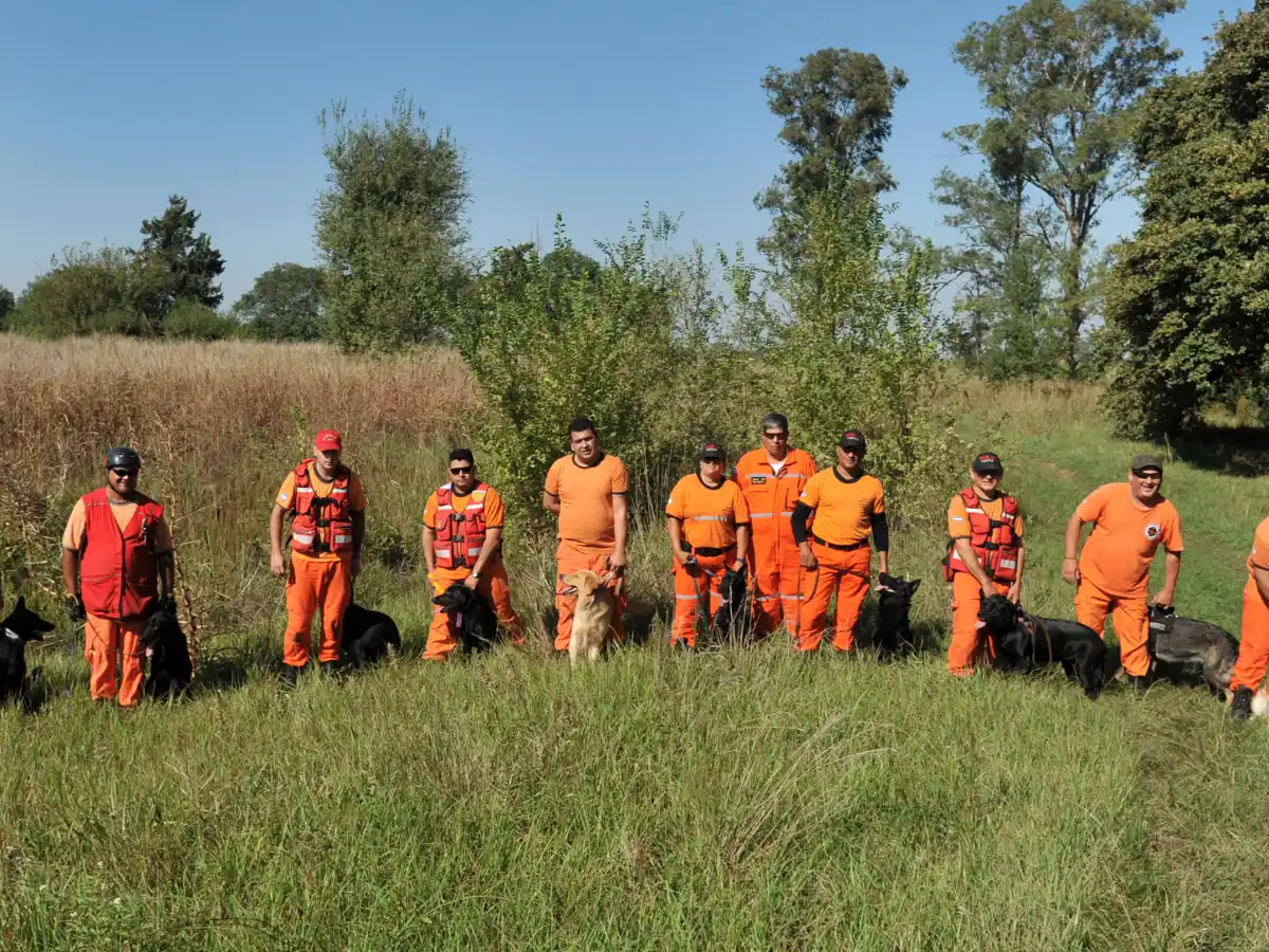 Brigadas K-9, rescatistas de cuatro patas