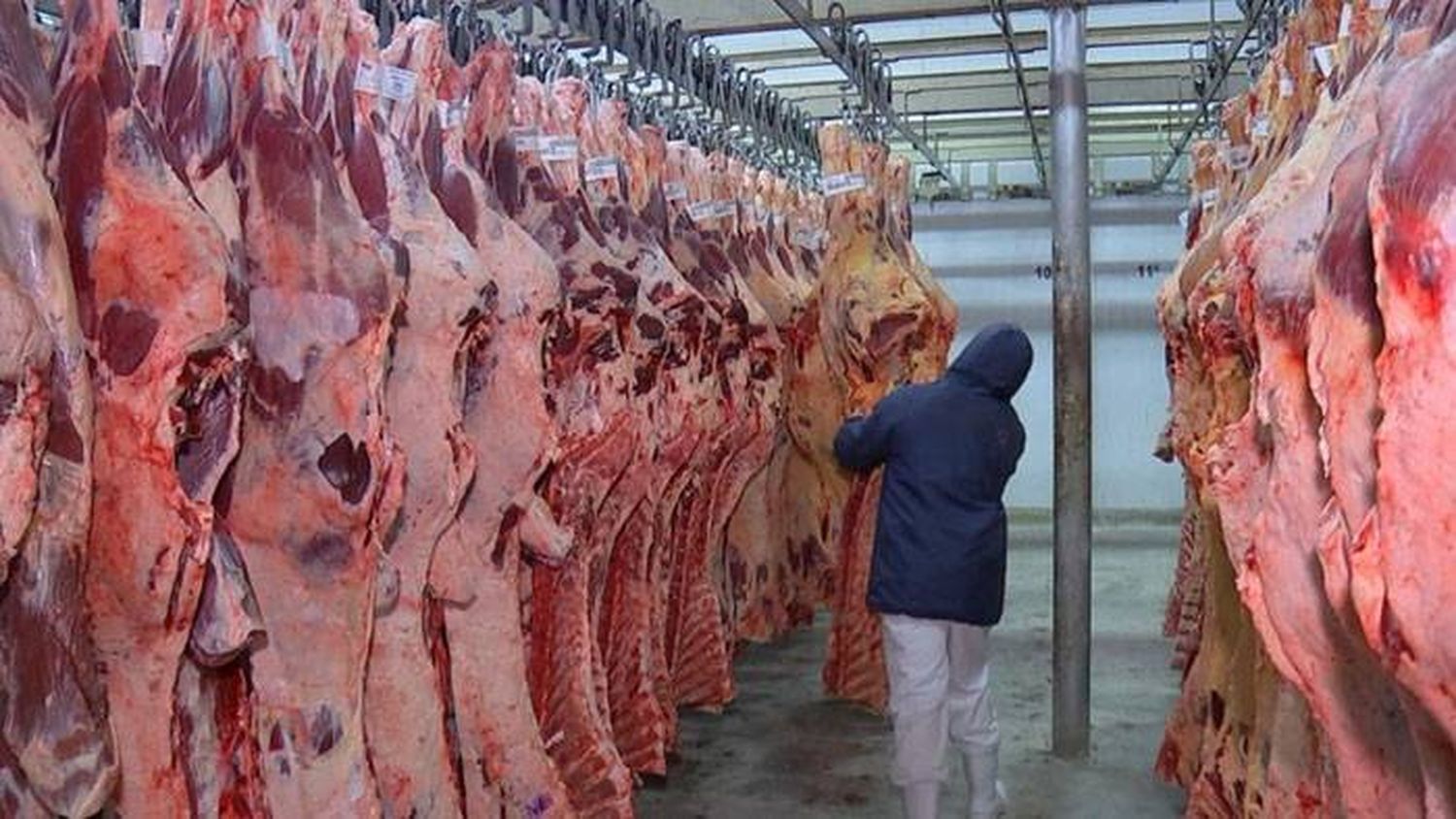 La producción de carne argentina podría beneficiarse por recuperación de la demanda china