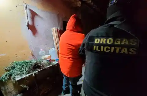 "En Mar del Plata no hay disputa territorial de bandas narco"