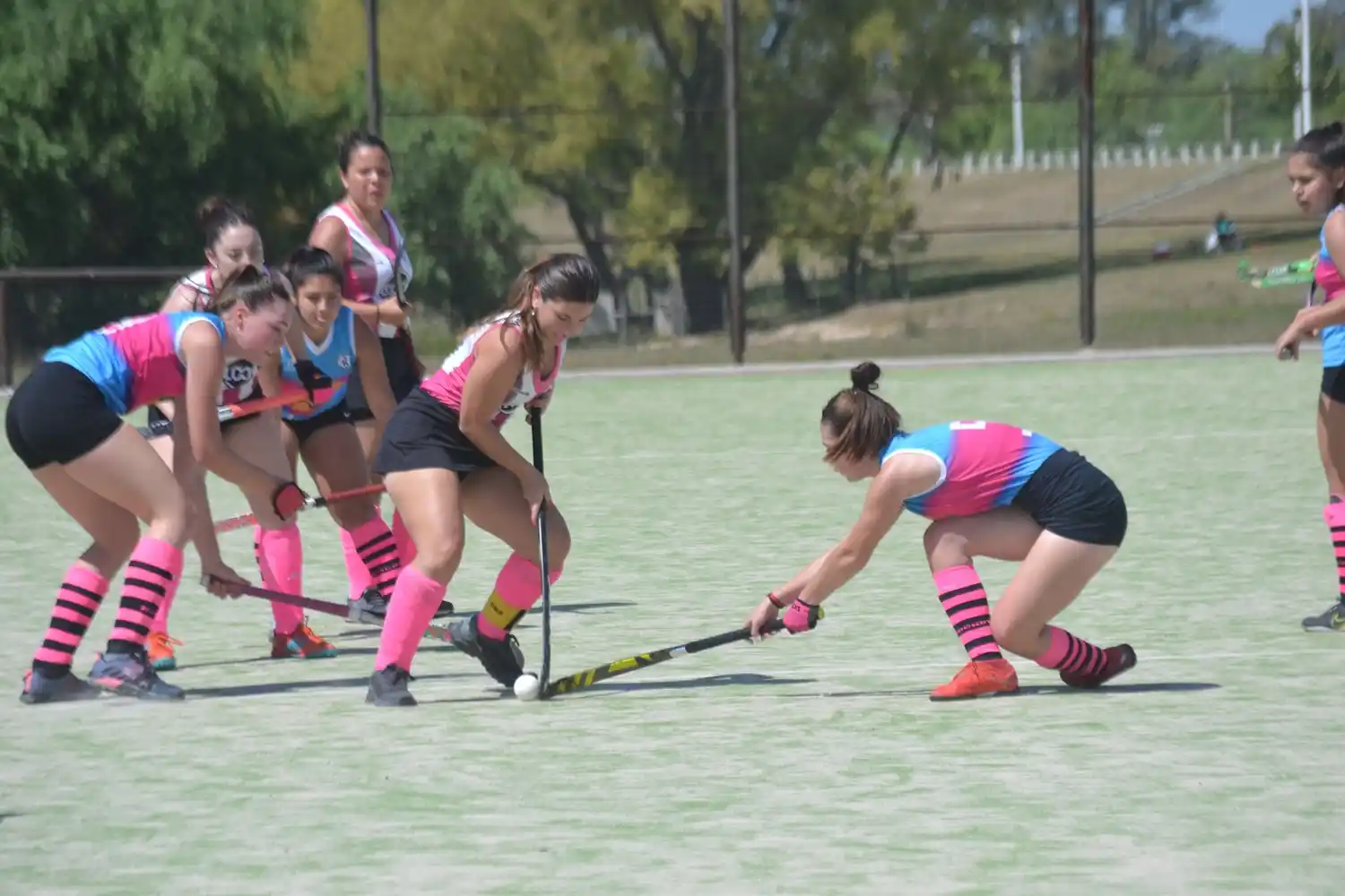 Ingresó en su etapa final el torneo de la ASHER