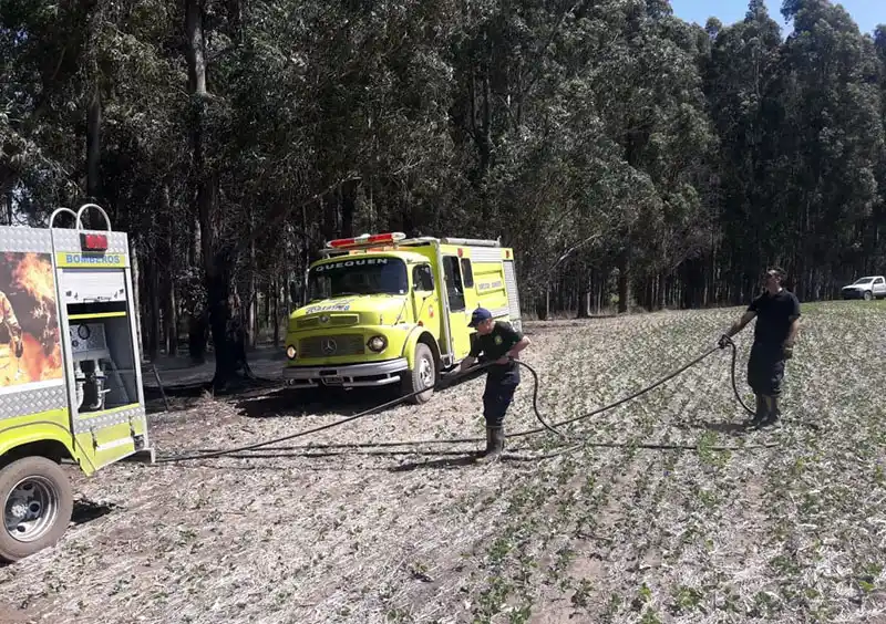 Combaten un incendio en el monte de una estancia