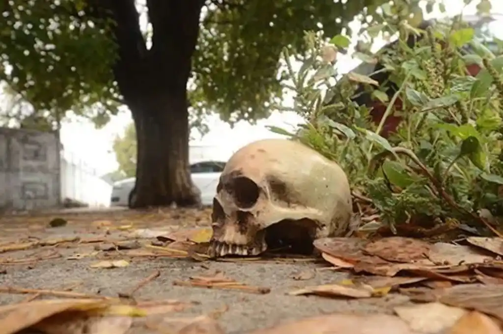 Hallaron un cráneo humano y una tapa de ataúd en la vía pública de La Paz