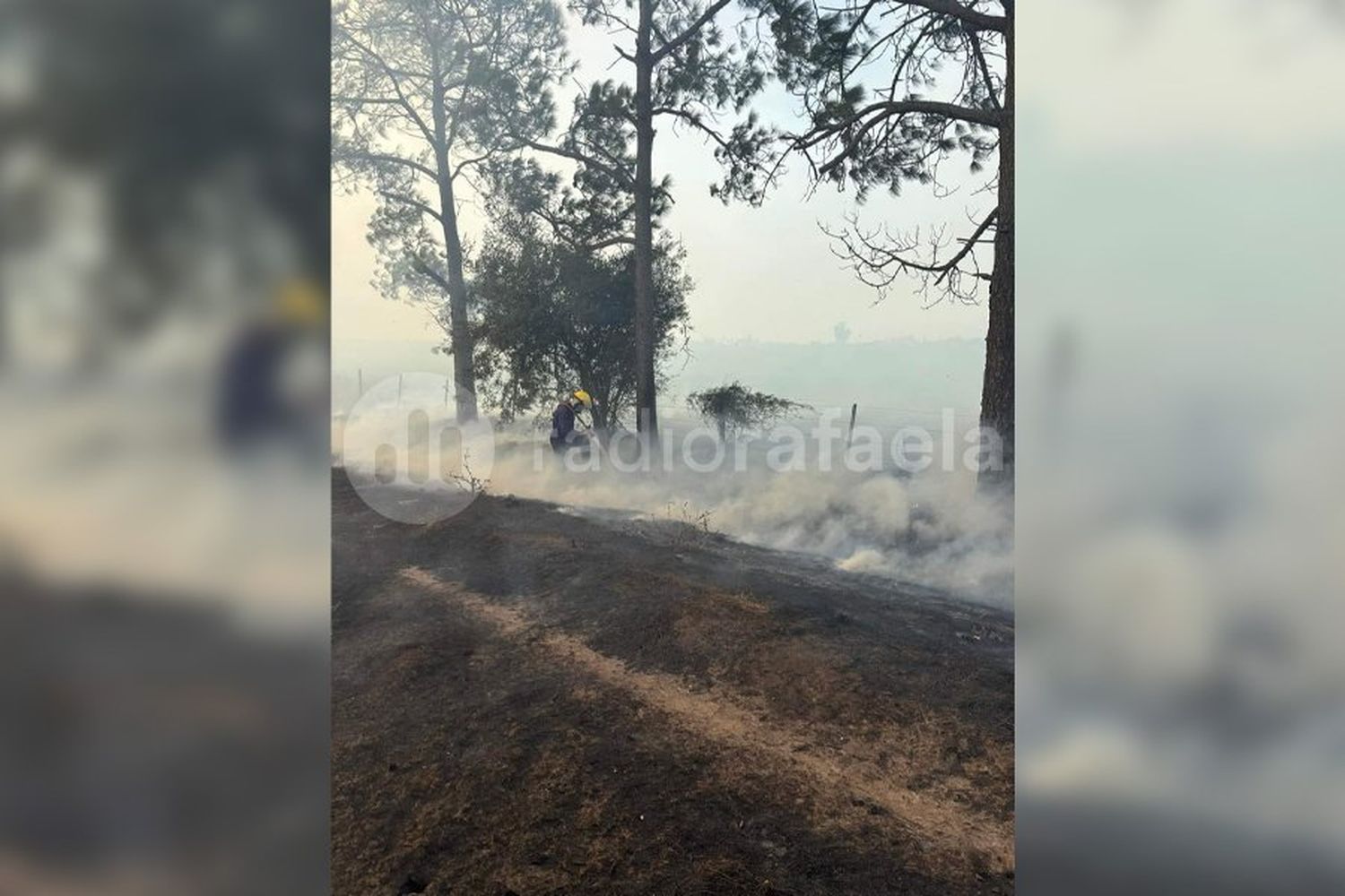 Grave incendio: los Bomberos tuvieron que cortar un frente de 150 metros en zona rural de Eustolia