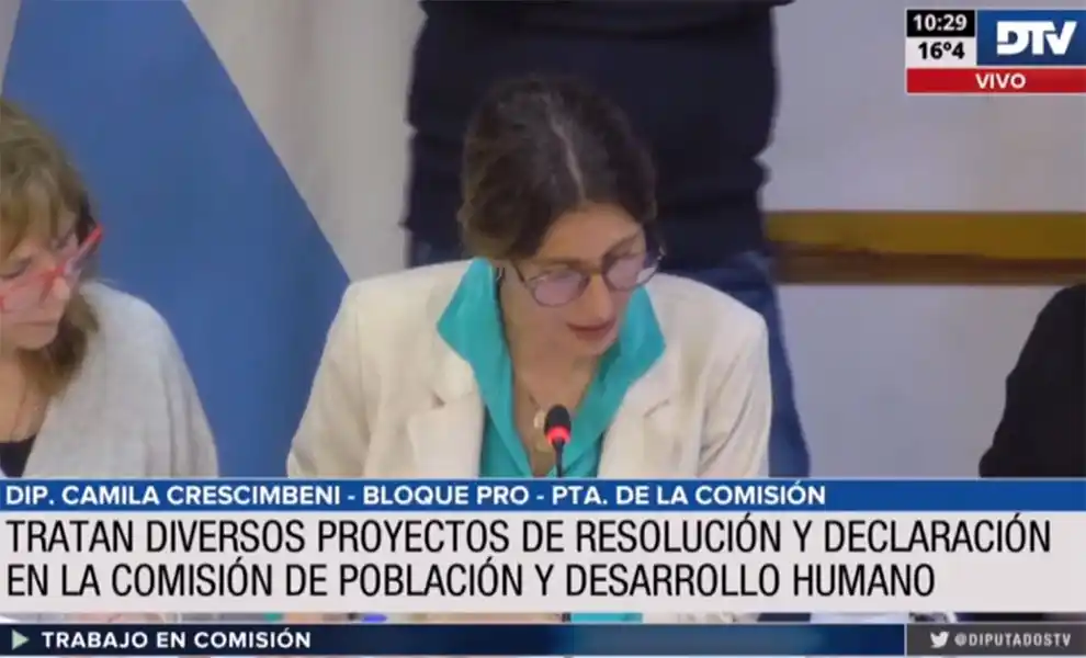 La Comisión de Población y Desarrollo Humano aprobó una batería de proyectos
