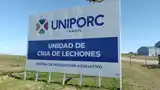 Uniporc Tandil entre las mejores granjas porcinas del país recibió el premio a la eficiencia productiva