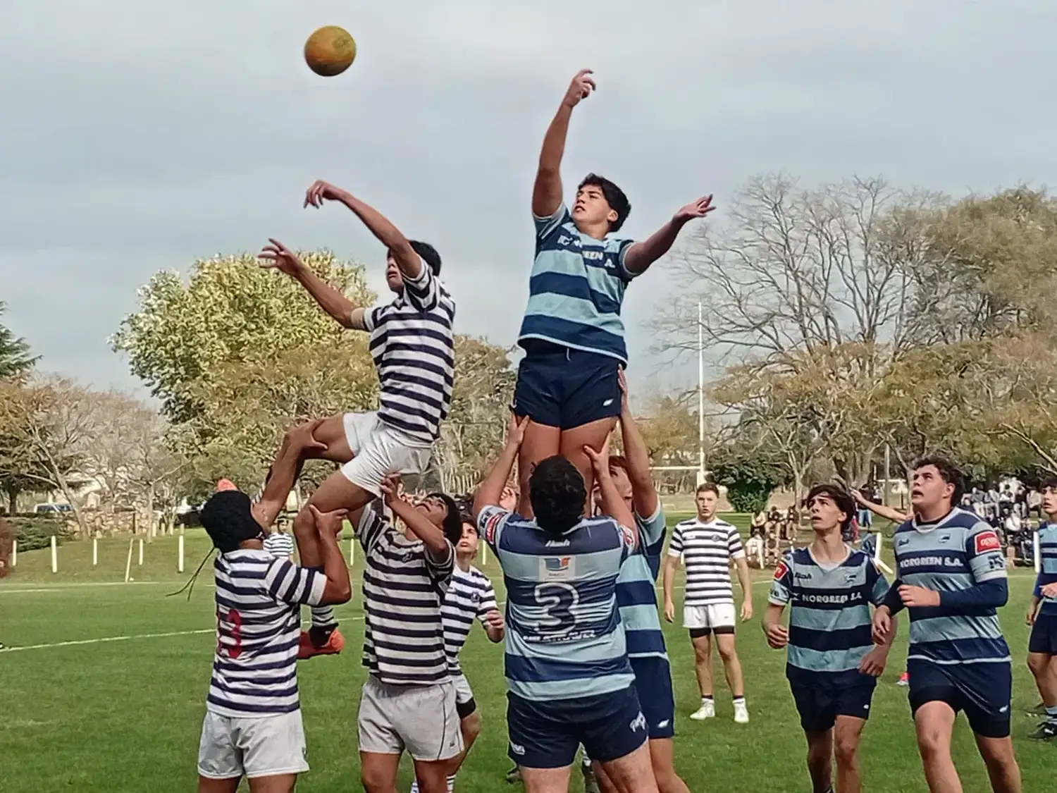 Eco Rugby - 1